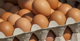 Noi scumpiri: Oule de găină au ajuns să coste 40 de lei